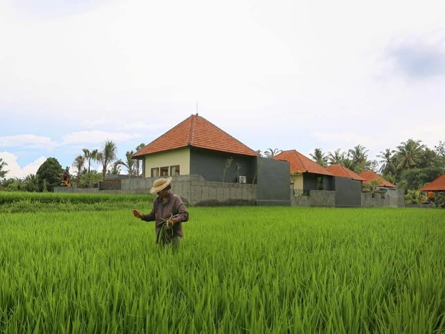 Asri Sari